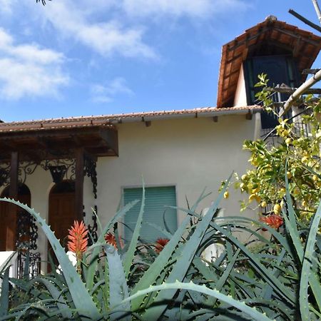 דירות מסה לוברנסה Casa Dei Limoni מראה חיצוני תמונה