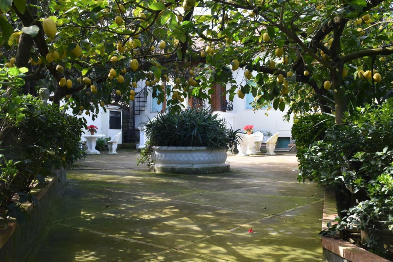דירות מסה לוברנסה Casa Dei Limoni מראה חיצוני תמונה